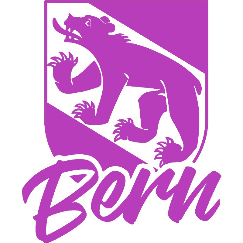 Bern Sticker