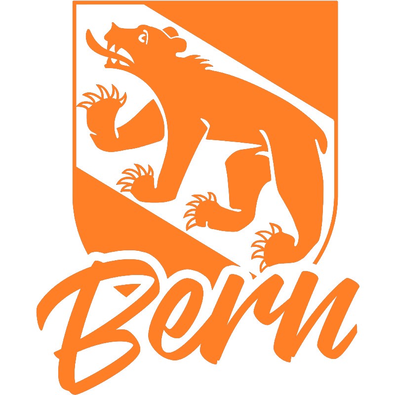 Bern Sticker