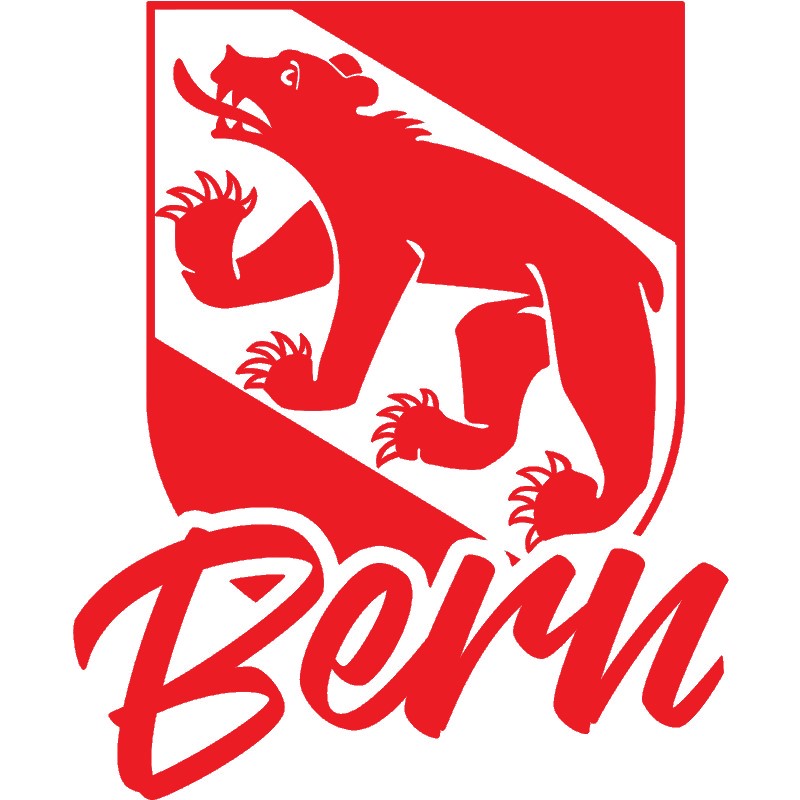 Bern Sticker
