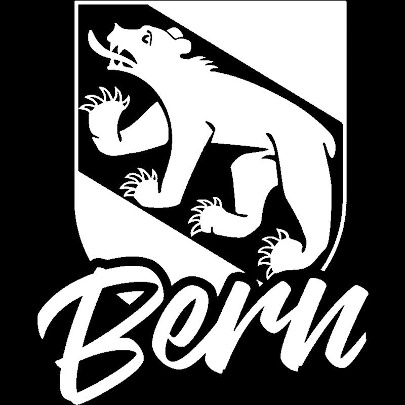 Bern Sticker